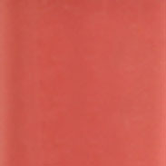 LG205