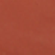 LS607