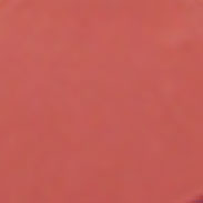LS303