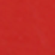 LS307