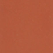 LG119