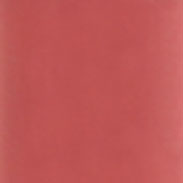 LG204