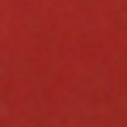 LS617